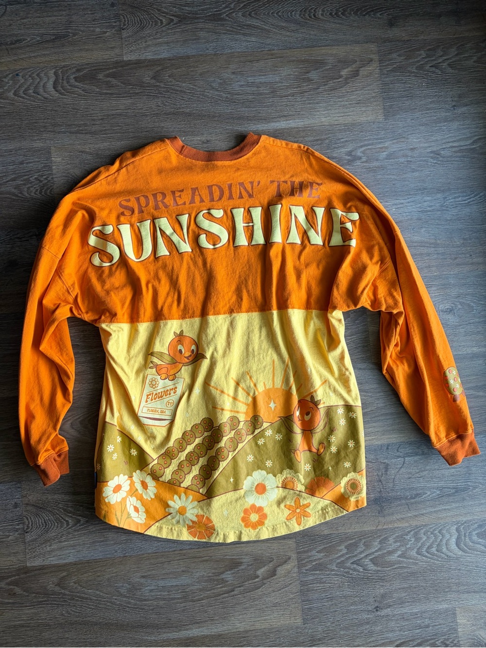 Disney Parks Spreadin’ The Sunshine Spirit Jersey Orange Yellow Size Large